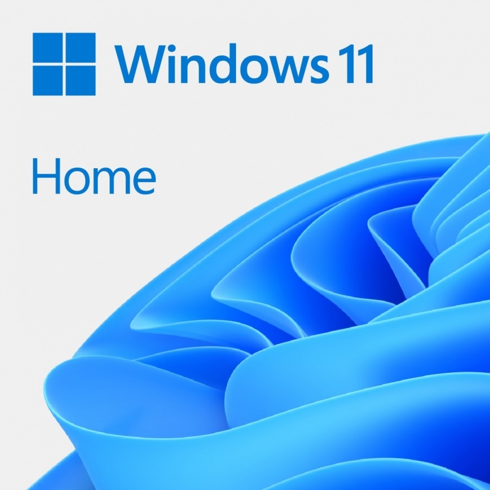 Microsoft Windows Home 11 x64 PL USB Flash Drive Box - image