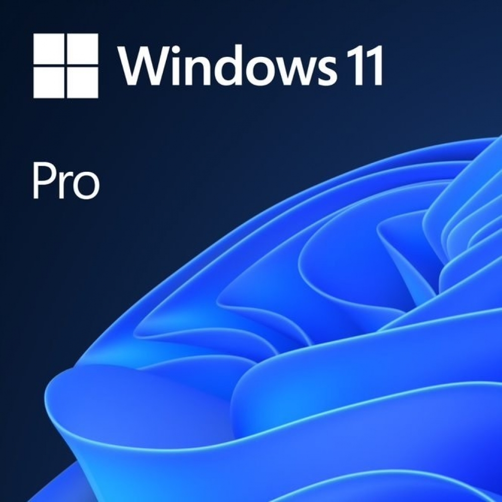 Microsoft OEM Windows 11 Pro PL x64 DVD - image