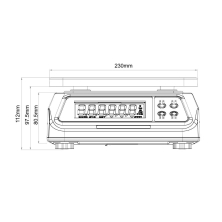 Lilascale-LSW-D-FRONT.jpg