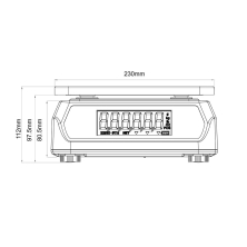 Lilascale-LSW-D-REAR.jpg